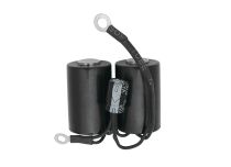 Set spoelen bedraad met condensator |Itc