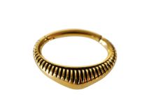 Stalen ring gouden streep septumscharnier