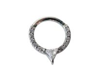 Stalen scharnierring septum bergkristal tip