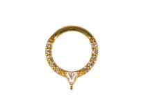 Stalen ring goud scharnier septum bergkristal punt