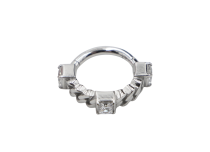 Scharnierring CoCR 1.2X8 strass gelede set