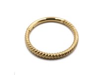 Stalen ring PVD goud gedraaid scharnier