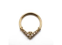 Stalen ring PVD goud bergkristal scharnier Itc