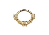Scharnierring CoCr Pvd Goud 1.2X8 strass scharnier set
