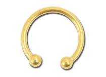 Faux Juweel Septum Staal Goud Hoefijzer | Itc