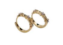 Paar oorbellen CoCr Pvd Goud ster met strass 0.8X10