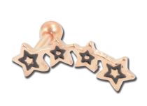 Barbell Staal Goud Roze Ster patroon | Itc