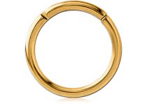 Scharnierring Titanium PVD Goud Steriel | Itc