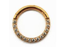 Titanium Scharnierring PVD Goud Steriel Strass Patroon Zijde | Itc