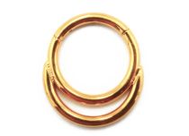 Scharnierring Titanium PVD Goud Steriel Maanmotief | Itc