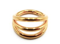 Scharnierring Titanium PVD Goud Drievoudig Patroon Steriel Itc