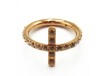 Scharnierring Titanium PVD Goud Steriel Bergkristalkruis | Itc