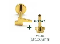 Labret Titanium PVD Goud Inwendig Steriel Ritspatroon | Itc