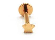 Labret Titanium PVD Goud Inwendig Steriel Stermotief | Itc