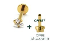 Labret Titane PVD Gouden Inwendige Draad Steriel Driehoek Gekrast Patroon | Itc