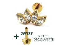 Labret Titane PVD Goud Interne Stérile motief marquise 4 Strass | Itc
