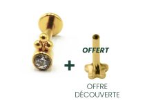 Labret Titanium PVD Goud Intern Steriel Patroon 3 Bal Strass Wit | Itc