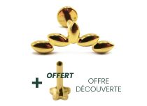 Labret Titanium PVD Goud Inwendig Steriel Amandelpatroon | Itc