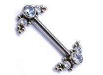 Titanium staaf inwendig steriel wit bergkristal stam Itc