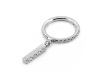 Titanium Strass scharnierring met hanger bar 5 Strass | Itc