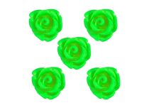 Set van 5 Acryl Rozen | Itc