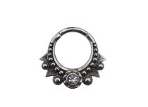 Witte strass sierstalen scharnierring | Itc