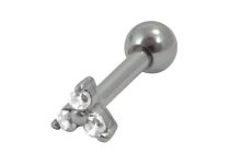 Bloem Kristal Stalen Barbell |Itc