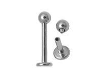 Inwendige Titanium Labret | Itc