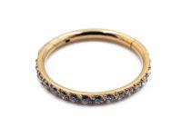 Stalen Ring PVD Goud Bergkristal Scharnier | Itc