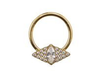 Titanium ringen PVD Goud Diamant patroon scharnier| Itc