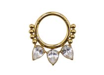 Titanium ringen PVD Goud Sierblad motief scharnier| Itc