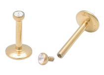 Labret Interne Stalen Gouden Fijne Bal 2 mm | Itc