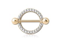 PVD Gouden Borstplaat met Strass | Itc