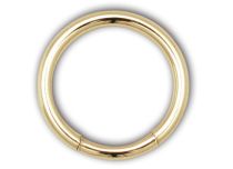 Verguld stalen ring Ronde sluiting | Itc