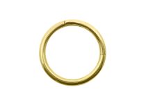 Verguld stalen ring Ronde sluiting | Itc