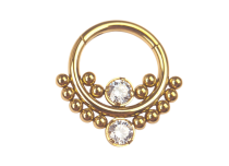 Titanium ringen PVD Goud Scharnier siermotief| Itc