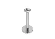 Doos van 10 stuks Titanium Labret Intern Steriel Wit Kristal | Itc