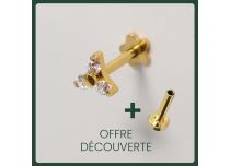 Labret Titanium PVD Goud Inwendig Steriel Strass Trinity | Itc