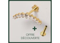 Labret Titanium PVD Goud Inwendig Steriel Patroon Kroon 9 Strass Wit | Itc