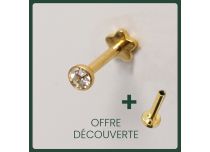 Labret PVD goud inwendig steriel met strass | Itc