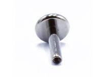 Steriele interne titanium schijflabret 4 mm | Itc