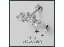 Labret Titane Interne Stérile motief Couronne de 5 Strass Blanc | Itc