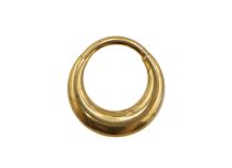 Scharnierring 1,2x8 titanium PVD GOUD Steriel eclips| Itc