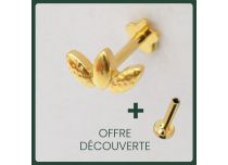 Labret Titanium PVD Goud Intern Steriel Patroon 3 Vellen | Itc