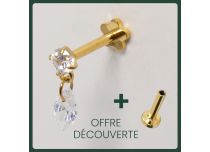 Labret Titanium PVD Goud Inwendig Steriel Strass en Ovale Hanger | Itc