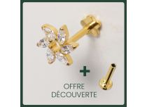 Labret Titanium PVD Goud Intern Steriel Strass Molenpatroon | Itc