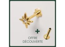 Labret Titanium PVD Goud Inwendig Steriel Etoile de bergé strass BL | Itc