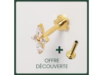 Labret Titanium PVD goud inwendig steriel bloemblaadjes steentjes BL | Itc
