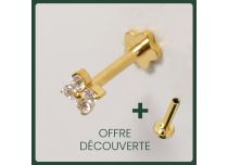 Labret Titanium PVD Goud Inwendig Steriel bloemontwerp 4 strass steentjes BL| Itc